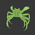 Light Brown Crab With White Claws And Long Legs On Dark Reflective Background