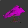 Purple Tree with Lush Leaves Brown Trunk Surrounded by Scattered Petals and Small Stones