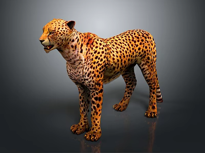 Realistic 3D Rendered Cheetah With Spotted Coat In Standing Posture 3d model