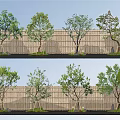 Type Tree Sapium sebiferum Garden Tree 3d model