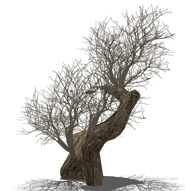 Leafless Arbor with Twisted Trunk and Slender Branches in Natural Form 3d model