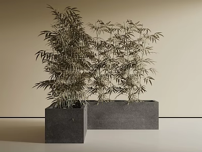 Gray Square Tree Planter with Tall Bamboo Plants in Minimalist Light Colored Space 3d model