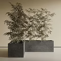 Gray Square Tree Planter with Tall Bamboo Plants in Minimalist Light Colored Space