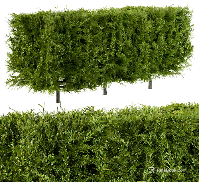 Lush Green Bushes With Dense Foliage And Different Heights For Garden Landscaping 3d model 