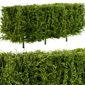 Lush Green Bushes With Dense Foliage And Different Heights For Garden Landscaping