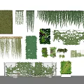 Green Plant Wall Various Designs and Hanging Vertical Plant Types for Interior