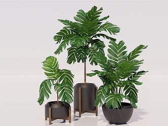 Modern Potted Plant Green Plant Potted Plant Ornaments Green Plant Furnishings 3d model