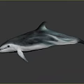 Graceful Blue Gray Dolphin in Swimming Pose with Glossy Skin 3D Render