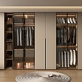 Home wardrobe 3d model