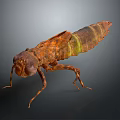 Realistic Insect 3D Model with Brown Green Stripes and Rough Texture on Dark Background