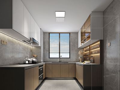 Modern kitchen type kitchen model