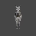 Zebra With Black And White Stripes Standing On Gray Background 3d model