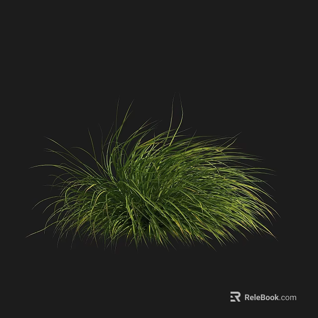 Lush Green Grass With Slender Leaves Naturally Growing On Black Background 3d model 