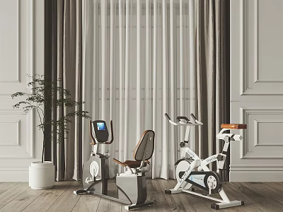 Indoor Sports Equipment Including Exercise Bikes with White Curtains Wooden Floor and Green Plant 3d model