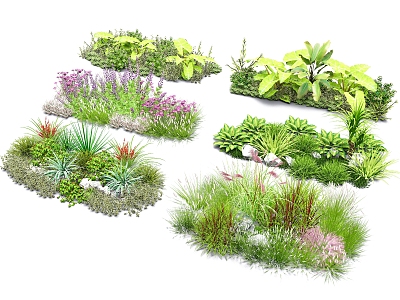 flowers and plants ground cover plant combination flowers and plants group courtyard flowers and plants model