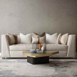 Light Luxury Double Sofa Furniture Accessories Combination 3d model