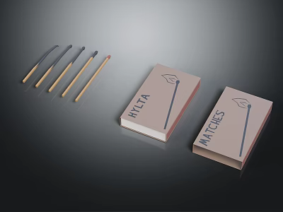 Stylish NYLTA Brand Matches With Printed Matchboxes And Wooden Sticks 3d model