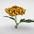 Decorative Vase Flower Arrangement with Yellow and Red Chrysanthemum and Green Leaves
