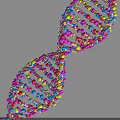 Innovative Medical Devices for DNA Double Helix Study with Colorful Molecular Structure in Genetic Diagnostics