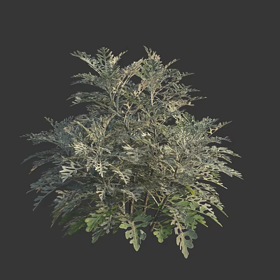 Modern Shrub Shrub Grass 3d model