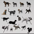 Cute Dogs and Cats of Various Breeds in Playful and Relaxed Poses