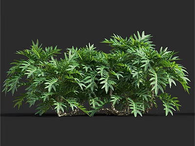 Lush Green Plants With Dense Fresh Leaves In Natural Growth On Black Background 3d model