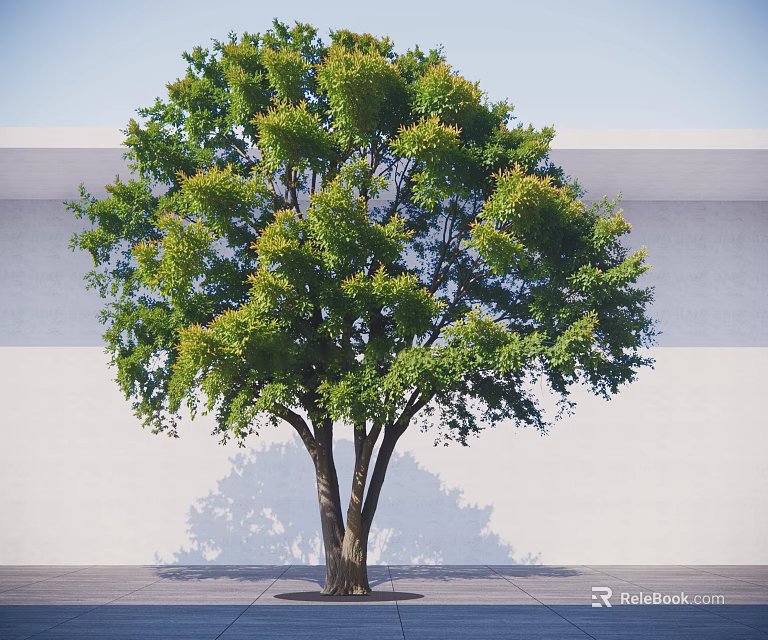 Lush Green Arbor With Multiple Trunks Against Light Wall On Gray Ground 3d model 