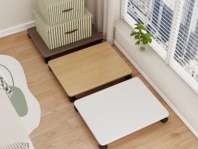 Different Colors Storage Shelves With Striped Storage Boxes Green Plant On Wooden Floor By Window 3d model