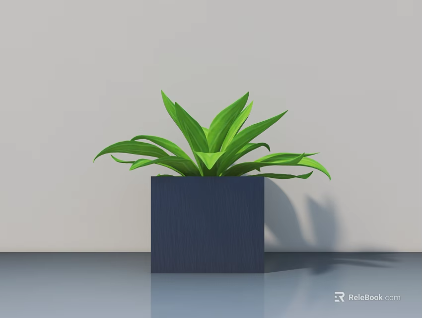 Potted Bonsai Plant with Square Dark Blue Pot and Green Wide Leaves 3d model 
