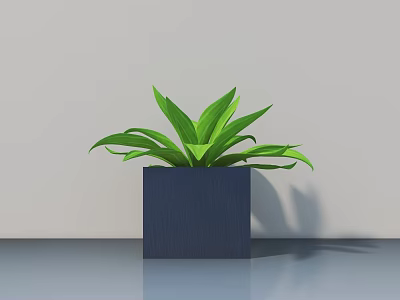 Potted Bonsai Plant with Square Dark Blue Pot and Green Wide Leaves 3d model