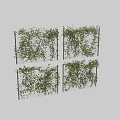 Lush Green Vines Climbing And Covering Chain Link Fence For Garden Decoration