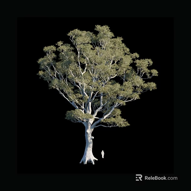 Tall Arbor With Lush Green Canopy And Thick Trunk Showing Size With Small Figure 3d model 