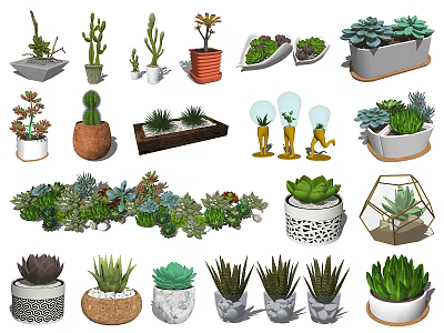 Stylish Succulent Cactus and Bonsai Potted Plants in Ceramic Geometric Woven Pots 3d model