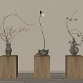Decorative Vases With Flowers And Branches On Wooden Pedestals Neutral Background