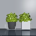 Two Lush Green Potted Plants with Gray and White Pots on Metal Stand Against Gray Background