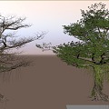 banyan tree green plant trees forest trunk 3d model