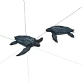Two Lifelike Black Sea Turtles Posed On White Background In Studio