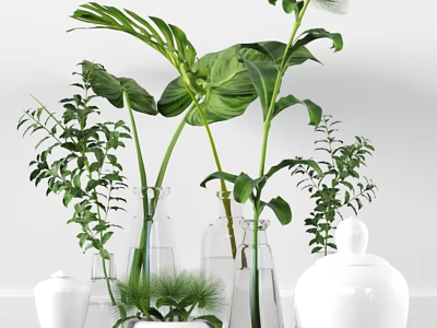 Decorative Glass Vases With Green Plants And Monstera Leaves In White Containers 3d model