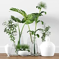 Decorative Glass Vases With Green Plants And Monstera Leaves In White Containers