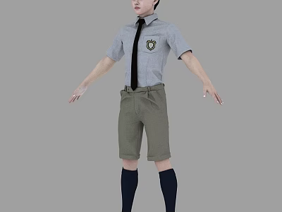 A Man Wearing Grey Short Sleeved Shirt Black Tie Grey Shorts And Black Long Socks 3d model