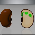 Whole and Split Red Bean Showing Germinating Seedling with Green Leaves in Cross Section