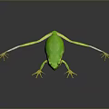 Vibrant Green Frog With Yellow Feet On Gray Background Displaying Realistic Lifelike Features