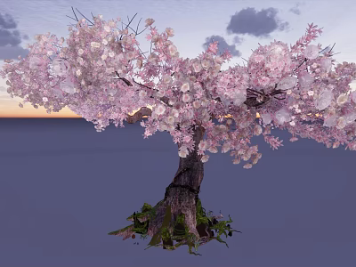 Pink Blossom Tree With Thick Trunk Grass Base And Cloudy Evening Sky 3d model