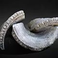 Curved Stone Sculpture Carving With Intricate Textured Surface And Abstract Design