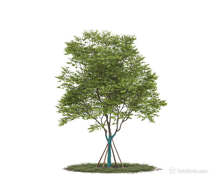 Arbor With Green Leaves Blue Stakes Supporting Trunk And Grass Base 3d model