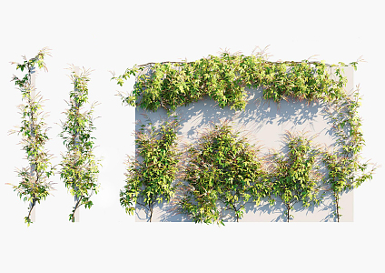 Modern Vine 3d model