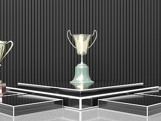 Modern Trophy 3d model