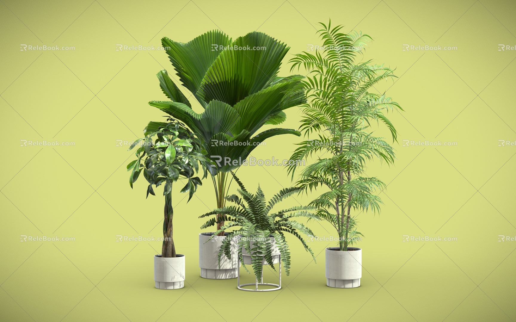 potted plants potted plants indoor bonsai model