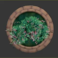 Ornamental Potted Plant With Green Leaves Pink Flowers Brown Trunk And Circular Brick Planter