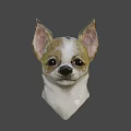 Chihuahua Game Movie Character With Big Ears Brown White Fur And Expressive Face